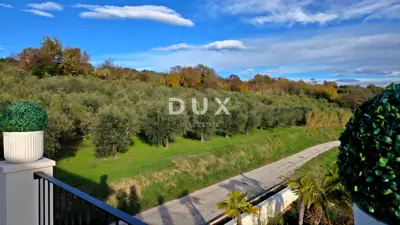 Villa 384 m², Buje - panoramic sea view - 7