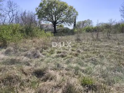 Single-storey house in Marčana, 3 bedrooms, private pool - 21