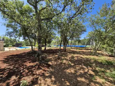 Kuća 350 m², Krk - bazen i okućnica 4.000 m² - 9