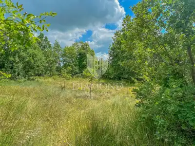 Building land 1,519 m², Grožnjan surroundings - quiet location - 6
