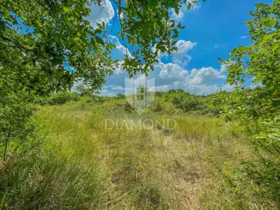 Building land 1,519 m², Grožnjan surroundings - quiet location - 7