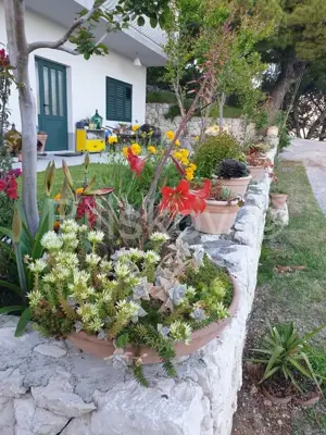 Apartmenthaus, Marušići, Meer- und Inselblick - 22