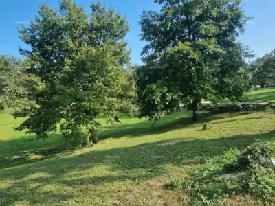 House for sale in Stari Pazin, 150 m² - 3