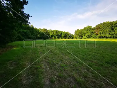 Mačkovec, Mačkovec, 55.355,00 m², 700.000,00 EUR - 11