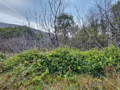 Poljoprivredno zemljište 332 m², Tugare - blizu glavne prometnice - 7