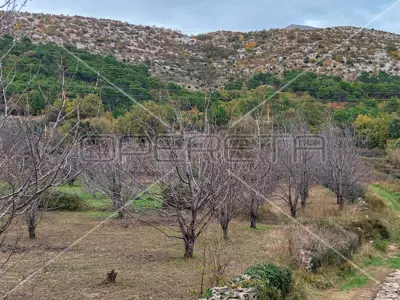 Poljoprivredno zemljište 332 m², Tugare - blizu glavne prometnice - 5