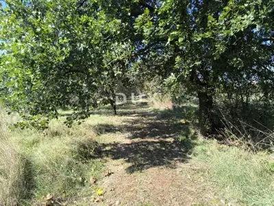 Građevinsko zemljište, Pula - Busoler, maslinik i mirna lokacija - 4