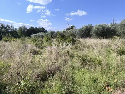 Građevinsko zemljište, Pula - Busoler, maslinik i mirna lokacija - 9