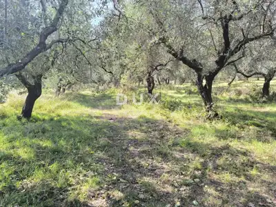 Građevinsko zemljište, Pula - Busoler, maslinik i mirna lokacija - 7