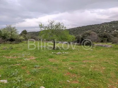 Agricultural land 11 500 m², Selca by the main road - 2