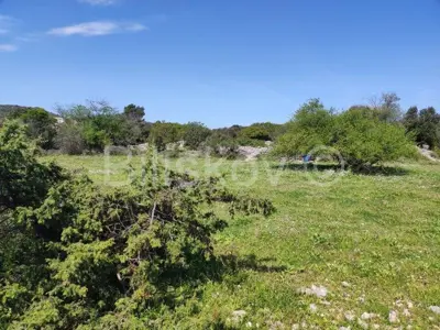 Poljoprivredno zemljište 11 500 m², Selca uz glavnu prometnicu