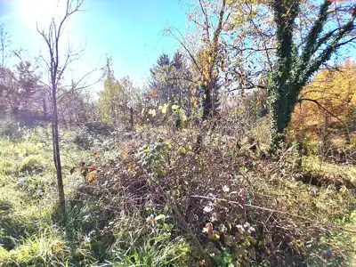 Baugrundstück 808 m², Gornja Dubrava, ruhige Lage - 3