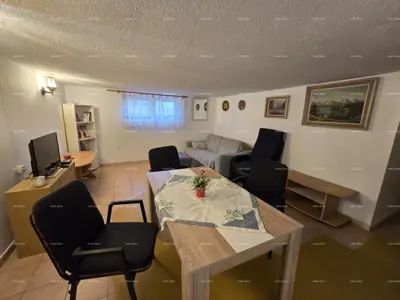 Wohnungen in Novigrad, ruhige Lage inmitten von Natur und Wald - 6