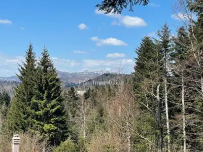Building plot 919 m², Homer - near Lokvarsko Lake - 3