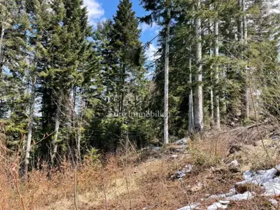 Building plot 919 m², Homer - near Lokvarsko Lake - 4