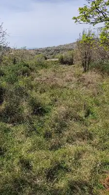 Agricultural land 424 m², Punat, peace and privacy - 3