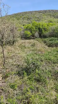 Agricultural land 424 m², Punat, peace and privacy - 2