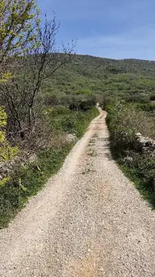 Agricultural land 424 m², Punat, peace and privacy - 4