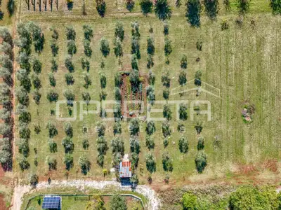 Investicijska prilika – Građevinsko i poljoprivredno zemljište u blizini Poreča - 4