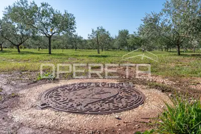 Investicijska prilika – Građevinsko i poljoprivredno zemljište u blizini Poreča - 7