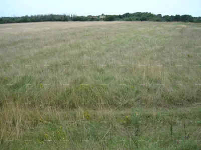 Poljoprivredno zemljište 21 870 m², Jadreški, javni pristupni put - 2