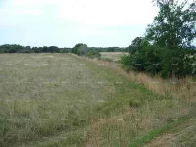 Poljoprivredno zemljište 21 870 m², Jadreški, javni pristupni put