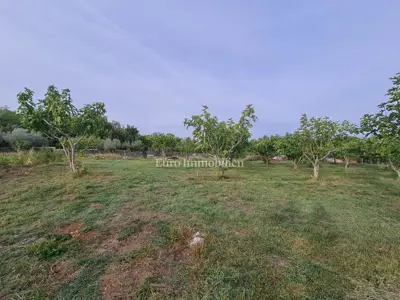 Building land, Rakalj - 7 km from the sea, road access - 3