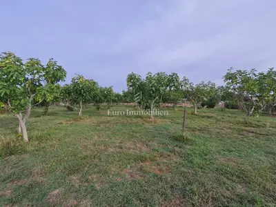 Building land, Rakalj - 7 km from the sea, road access