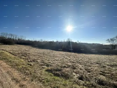 Građevinsko zemljište 3 697 m², Motovun, okolica Motovuna