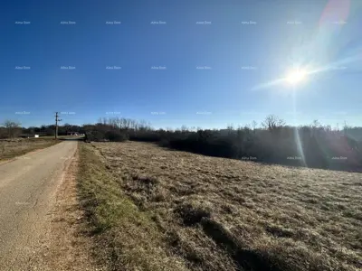 Baugrundstück 3 697 m², Motovun, Umgebung von Motovun - 2