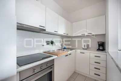 Wohnung zur Miete in Špansko, 40 m² - 3