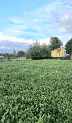 House 70 m², Svetvinčenat - pool and yard 400 m² - 6