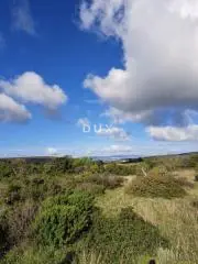 Land plot for sale in Debeljak