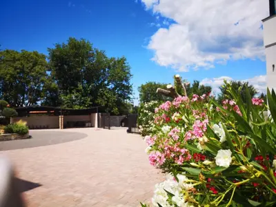 Apartment 58 m², Peroj - shared pool and garden area - 6