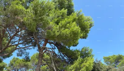 Wohnung 149,5 m², Rovinj - 3 Schlafzimmer und Terrasse 39,6 m² - 9