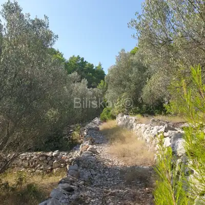 Poljoprivredno zemljište 10 756 m², Vela Luka - blizu centra - 5