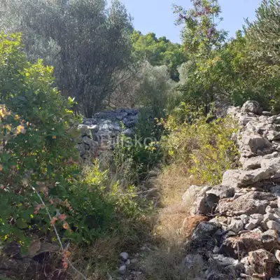 Landwirtschaftsfläche 10 756 m², Vela Luka - nahe dem Zentrum