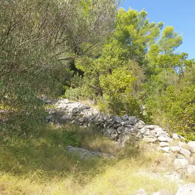 Poljoprivredno zemljište 10 756 m², Vela Luka - blizu centra - 11