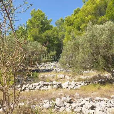 Poljoprivredno zemljište 10 756 m², Vela Luka - blizu centra - 9