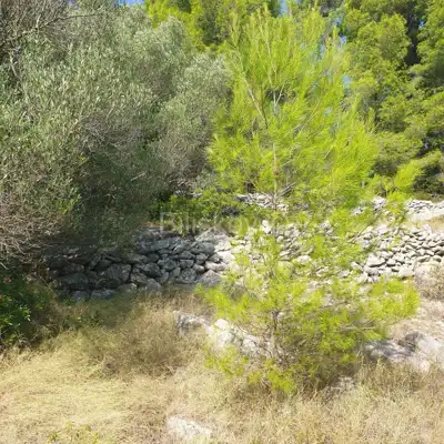 Poljoprivredno zemljište 10 756 m², Vela Luka - blizu centra - 4