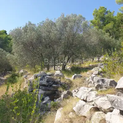 Poljoprivredno zemljište 10 756 m², Vela Luka - blizu centra - 6