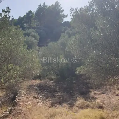 Poljoprivredno zemljište 10 756 m², Vela Luka - blizu centra - 10