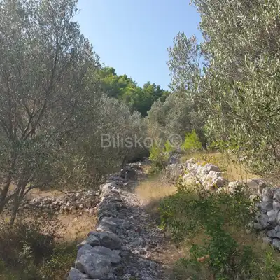 Poljoprivredno zemljište 10 756 m², Vela Luka - blizu centra - 12