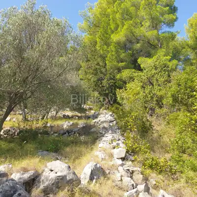 Poljoprivredno zemljište 10 756 m², Vela Luka - blizu centra - 7