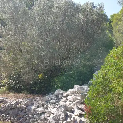 Poljoprivredno zemljište 10 756 m², Vela Luka - blizu centra - 3