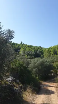Poljoprivredno zemljište 10 756 m², Vela Luka - blizu centra - 2
