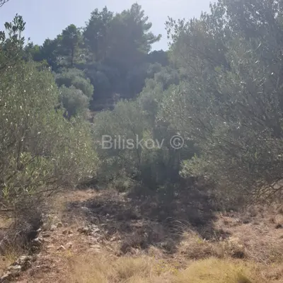 Agricultural land 10 756 m², Vela Luka - near the center - 10