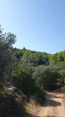 Agricultural land 10 756 m², Vela Luka - near the center - 2