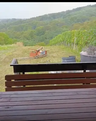 Ferienhaus *3 km von Toplica* - 2