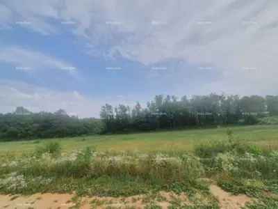Građevinsko zemljište 2 588 m², Višnjan, mirna lokacija i pogled